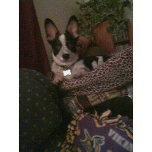 Meet your Posher, Tucker